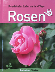 Rosen - Die schönsten Sorten und ihre Pflege