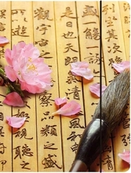 Sammelmappe - Zen Art Nature
