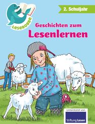 Leserobbe: 2. Schuljahr - Geschichten zum Lesenlernen