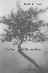 Der Baum bl&uuml;ht trotzdem