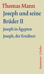 Joseph und seine Br&uuml;der, 2 Bde.