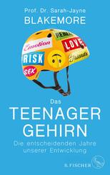 Das Teenager-Gehirn