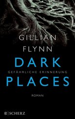 Dark Places - Gefährliche Erinnerung (eBook, ePUB)
