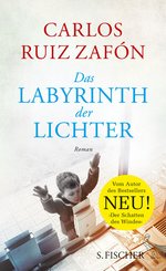 Das Labyrinth der Lichter (eBook, ePUB)