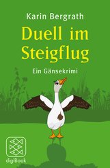 Duell im Steigflug (eBook, ePUB)