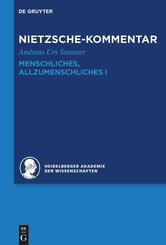 Kommentar zu Nietzsches "Menschliches, Allzumenschliches" I, 2 Teile
