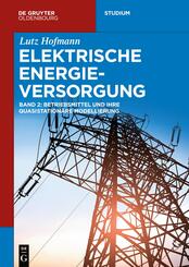 Lutz Hofmann: Elektrische Energieversorgung: Betriebsmittel und quasistationäre Modellierung - Bd.2