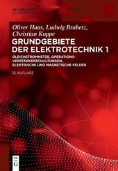 Grundgebiete der Elektrotechnik: Gleichstromnetze, Operationsverstärkerschaltungen, elektrische und magnetische Felder