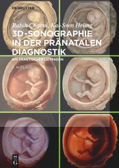 3D-Sonographie in der pr&auml;natalen Diagnostik