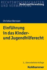 Einf&uuml;hrung in das Kinder- und Jugendhilferecht