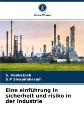 Eine einführung in sicherheit und risiko in der industrie