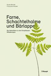 Farne, Schachtelhalme und B&auml;rlappe
