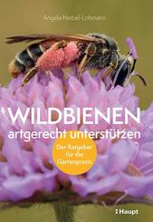 Wildbienen artgerecht unterst&uuml;tzen
