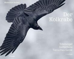 Der Kolkrabe - Totenvogel, G&ouml;tterbote, tierisches Genie