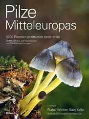 Pilze Mitteleuropas