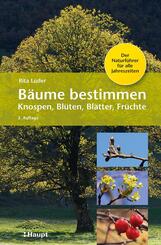 B&auml;ume bestimmen - Knospen, Bl&uuml;ten, Bl&auml;tter, Fr&uuml;chte