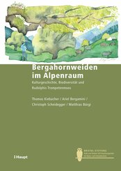 Bergahornweiden im Alpenraum (eBook, PDF)