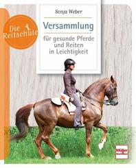 Versammlung f&uuml;r gesunde Pferde und Reiten in Leichtigkeit