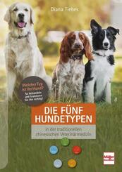 Die f&uuml;nf Hundetypen