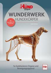 WUNDERWERK HUNDEK&Ouml;RPER