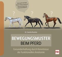Bewegungsmuster beim Pferd