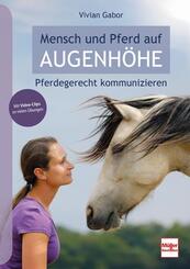 Mensch und Pferd auf Augenh&ouml;he