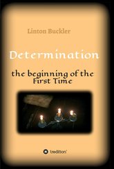 Determination -  the beginning of the First Time (eBook, ePUB)