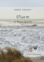 Sturm in Moordevitz (eBook, ePUB)