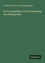 Die Lymphgef&auml;sse und ihre Beziehung zum Bindegewebe