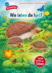 Sachwissen f&uuml;r Erstleser. Wie leben die Igel?