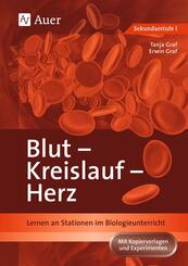 Blut, Kreislauf, Herz