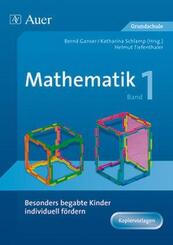 Besonders begabte Kinder individuell f&ouml;rdern, Mathematik.Bd.1