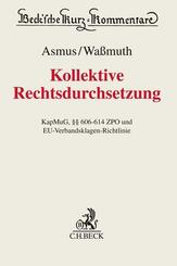 Kollektive Rechtsdurchsetzung; .