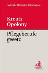 Pflegeberufegesetz, Kommentar