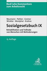 Sozialgesetzbuch IX. SGB IX