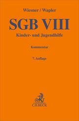 SGB VIII