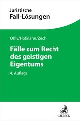 F&auml;lle zum Recht des geistigen Eigentums