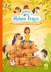 Die Schule der kleinen Ponys - Ein Heuhaufen voller Geheimnisse
