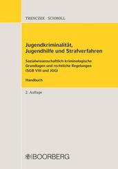 Jugendkriminalit&auml;t, Jugendhilfe und Strafverfahren