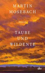 Taube und Wildente