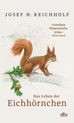 Das Leben der Eichh&ouml;rnchen
