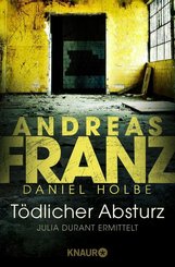 Tödlicher Absturz (eBook, ePUB)