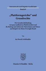 "Plattformgerichte" und Grundrechte