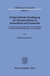Zivilgerichtliche Bew&auml;ltigung von Massenverfahren in Deutschland und Frankreich