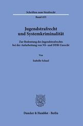 Jugendstrafrecht und Systemkriminalit&auml;t