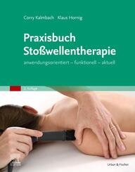 Praxisbuch Sto&szlig;wellentherapie