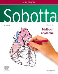 Sobotta Malbuch Anatomie
