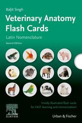 Lernkarten Veterin&auml;ranatomie / Veterinary Anatomy Flash Cards
