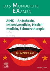 MEX Das M&uuml;ndliche Examen - AINS