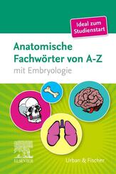 Anatomische Fachw&ouml;rter von A-Z